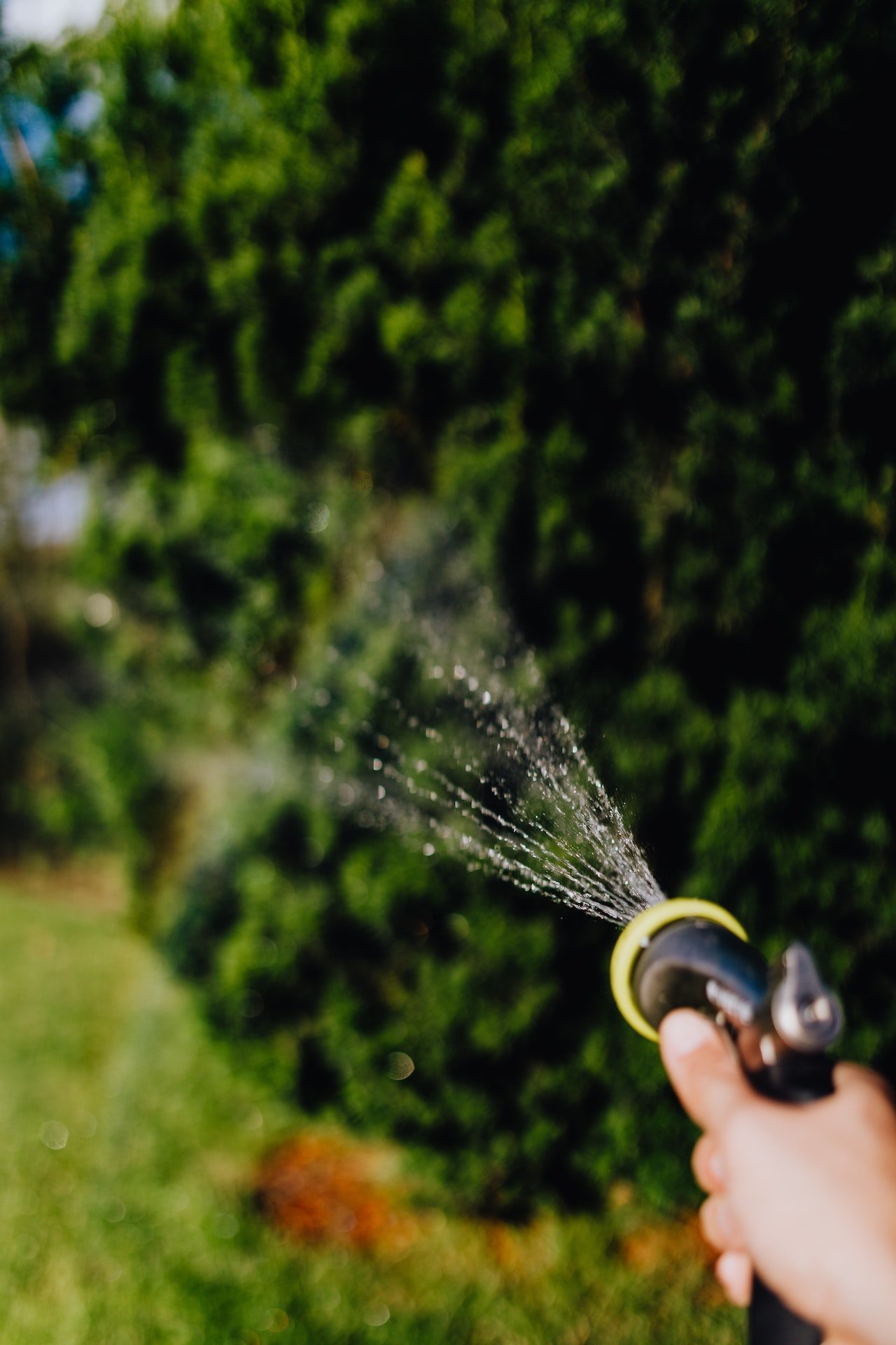 Unraveling the Magic of Water Hose Extensions A Must-Have for Every Garden