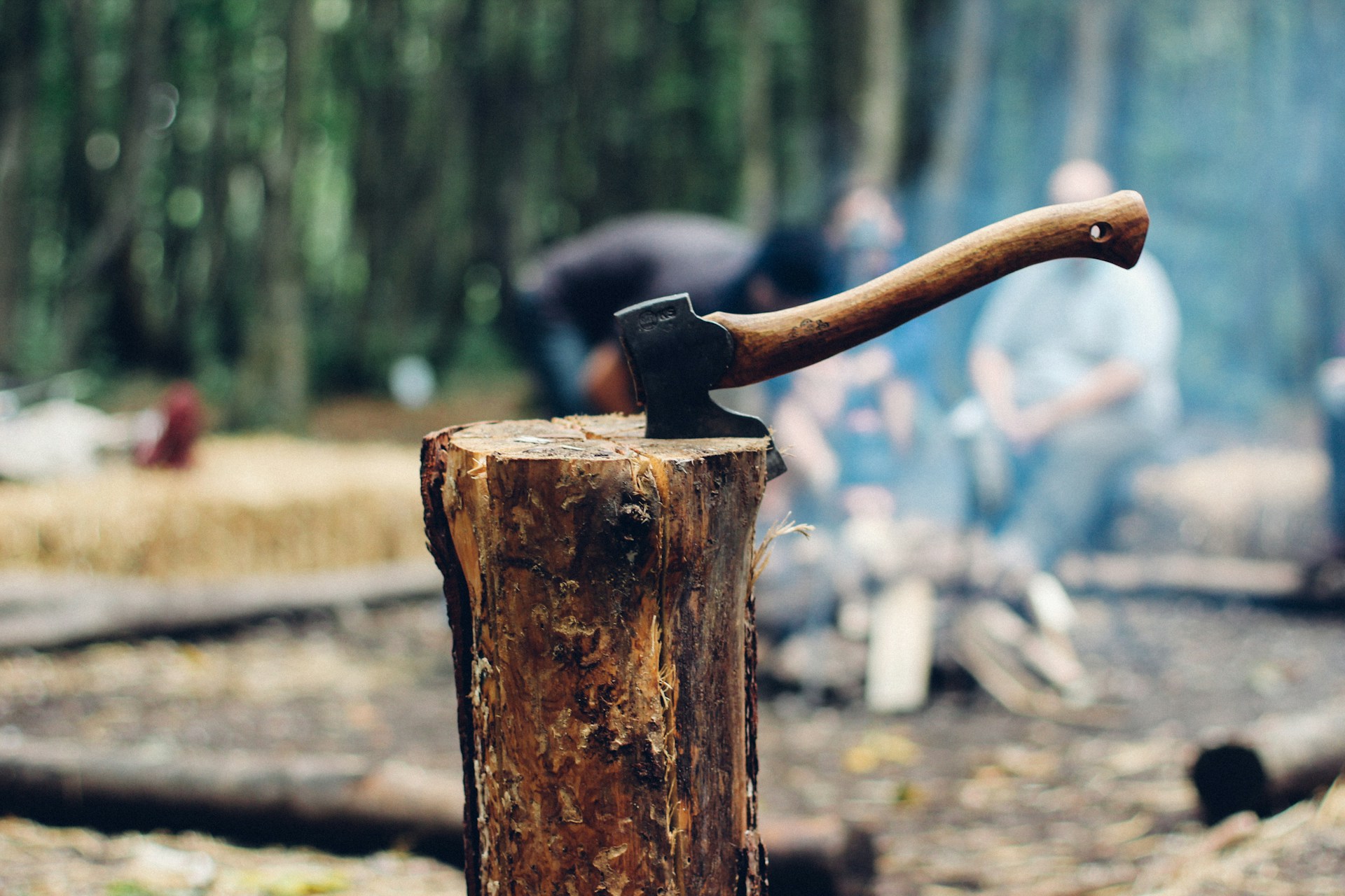 Efficient Tree Cutting Tools Essential Gardening Tips